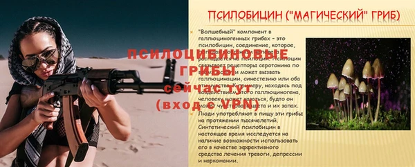 метамфетамин Белокуриха