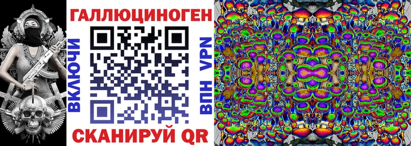 как найти   Калининец  Псилоцибиновые грибы Psilocybine cubensis 